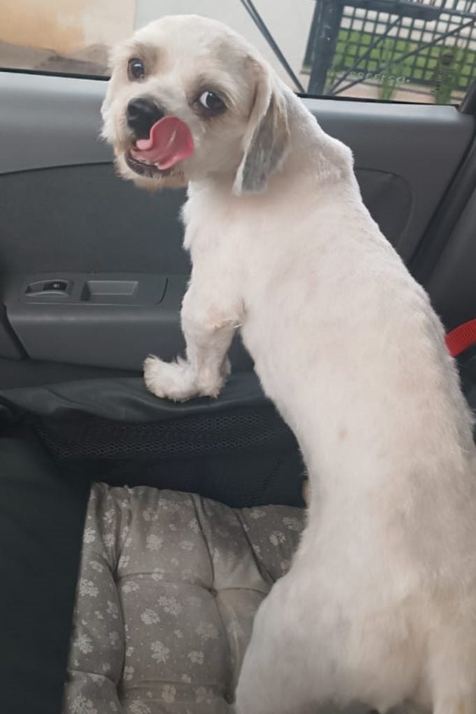 Whatsapp Image 2024 12 31 At 15.24.12