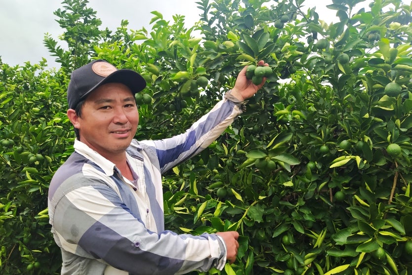Kleber Sakazaki, na lavoura da família.