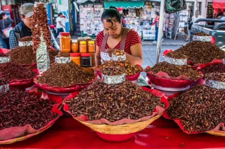 mulher vendendo insetos em cestas