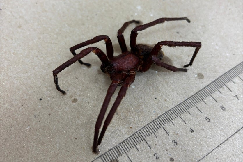 15395ed3 3fad 41bc A1fe Ca2aabfd7398