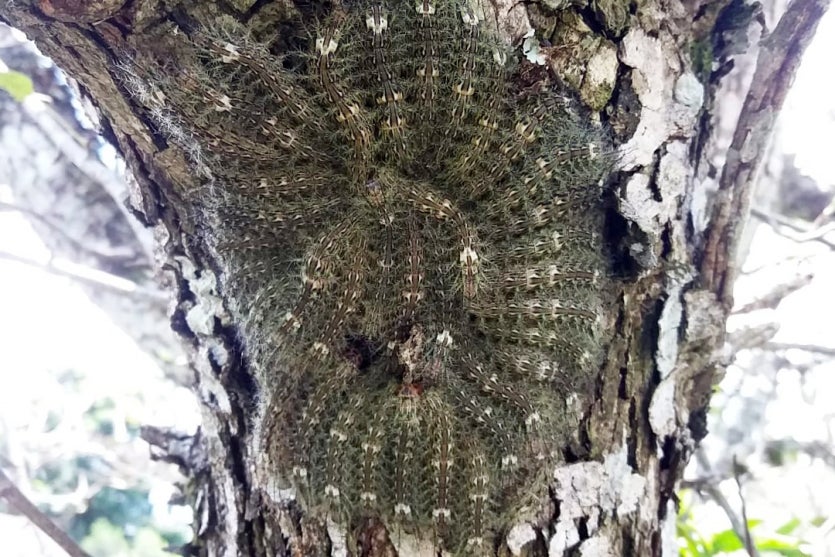 4d27a4f4 C749 4c5a 98ab 766fb9144a46