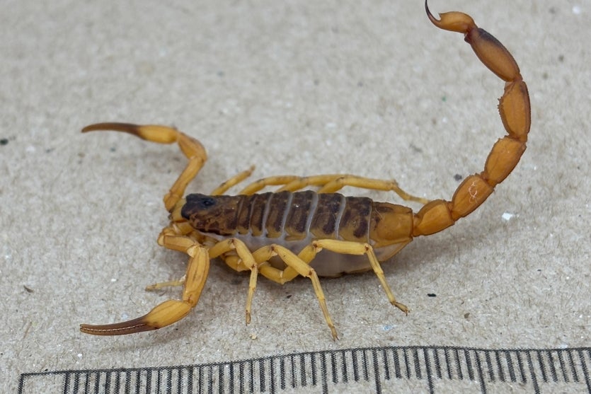 5070fb9f 9d65 4770 B7a2 E25099c27fa8