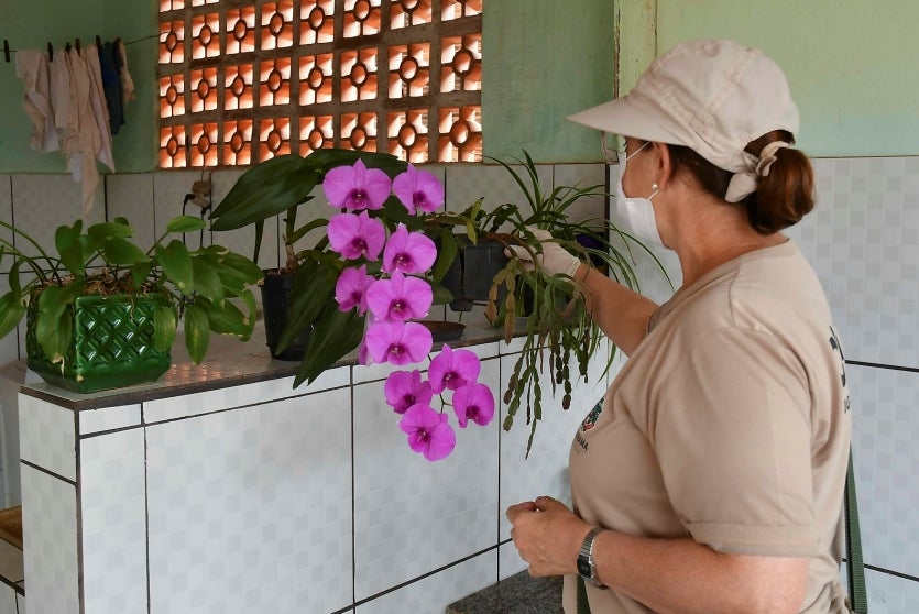 51114817385 4c2075beaa K