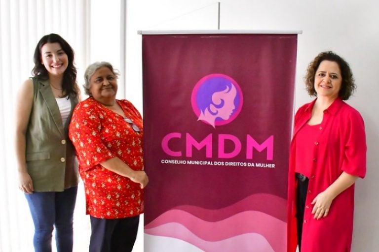 eleição conselho da mulher