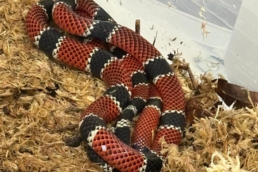 8e1ec84b 9b98 415b 8af1 Dddf9080bbc6