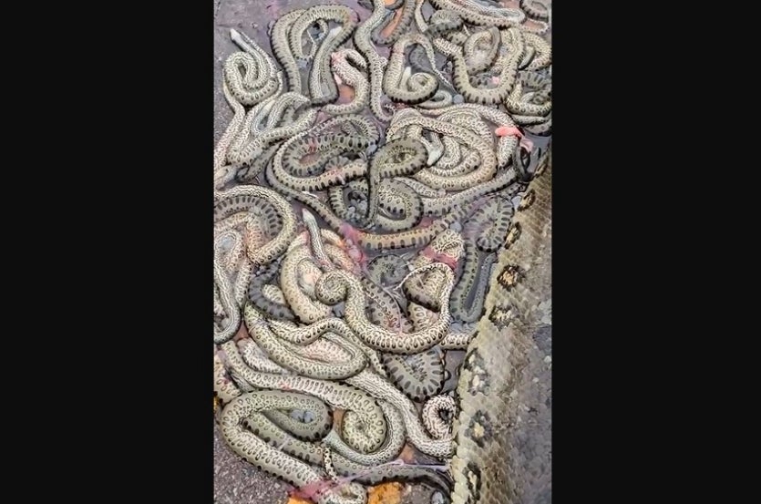 Captura De Tela 2025 01 07 205346