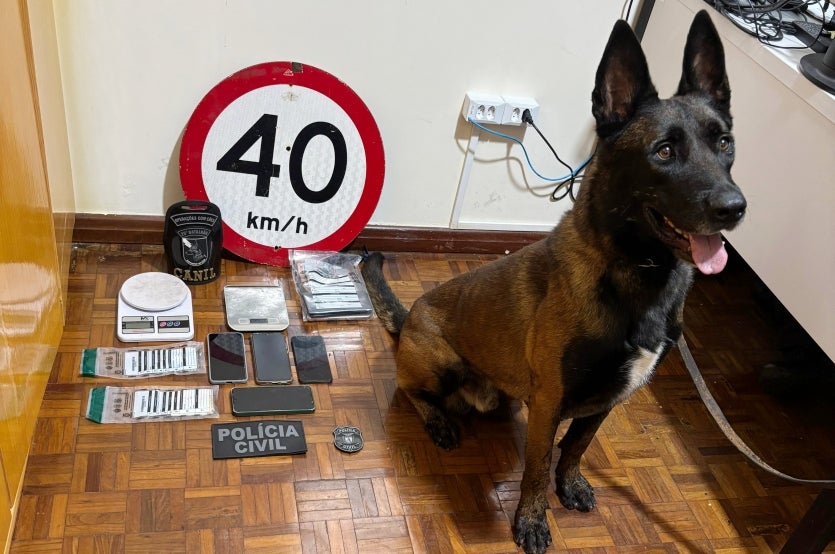 Imagem Do Whatsapp De 2025 01 10 à(s) 20.53.13 C315e25b