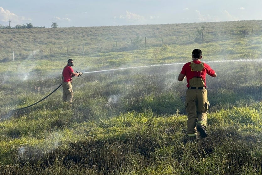 Imagem Do Whatsapp De 2025 01 14 à(s) 18.11.28 Fa151639