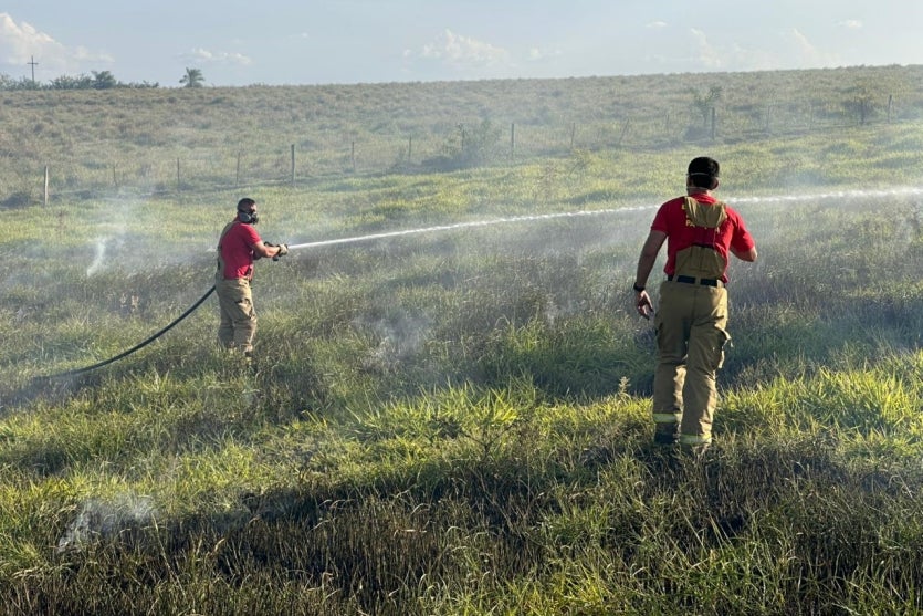 Imagem Do Whatsapp De 2025 01 14 à(s) 18.11.29 0357ed26