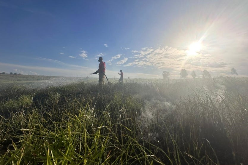 Imagem Do Whatsapp De 2025 01 14 à(s) 18.11.30 6b75e2c5