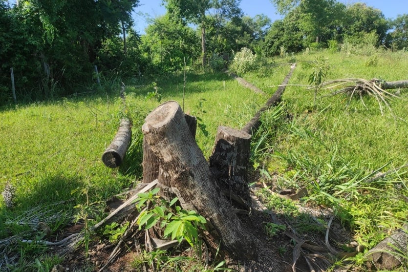 Imagem Do Whatsapp De 2025 01 15 à(s) 11.33.51 3d418318