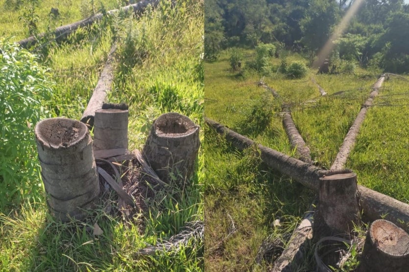 Imagem Do Whatsapp De 2025 01 15 à(s) 13.04.55 F5284a30