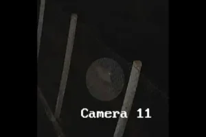 O avistamento da onça em Umuarama ocorreu na noite desta quinta-feira (30), nas proximidades da Avenida Portugal.