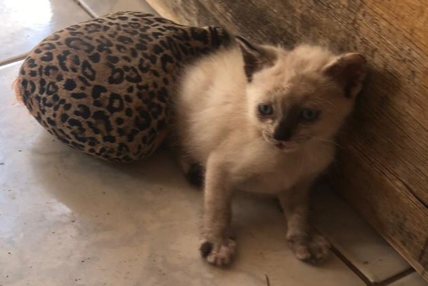 Whatsapp Image 2025 01 26 At 10.15.25 (1)