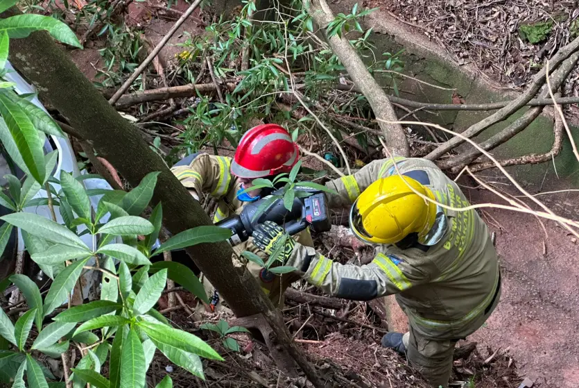 Acidente Trevo De Lovat (4)