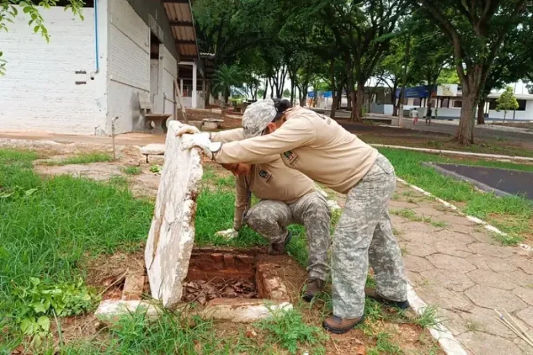Agentes Fazem Varredura Em Busca De Esconderijos De Escorpiões (1)