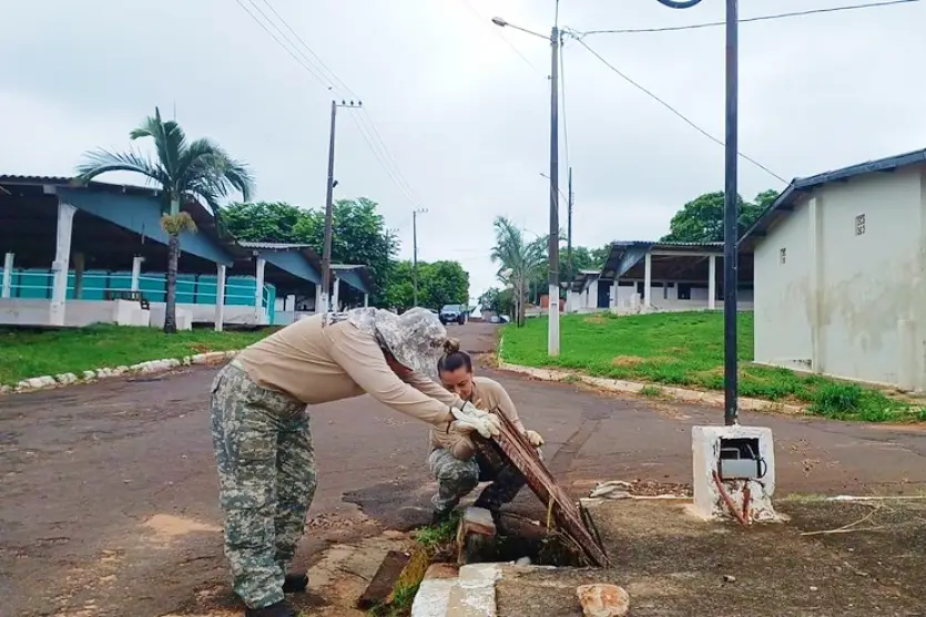 Agentes Fazem Varredura Em Busca De Esconderijos De Escorpiões (2)