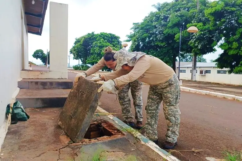 Agentes Fazem Varredura Em Busca De Esconderijos De Escorpiões (3)