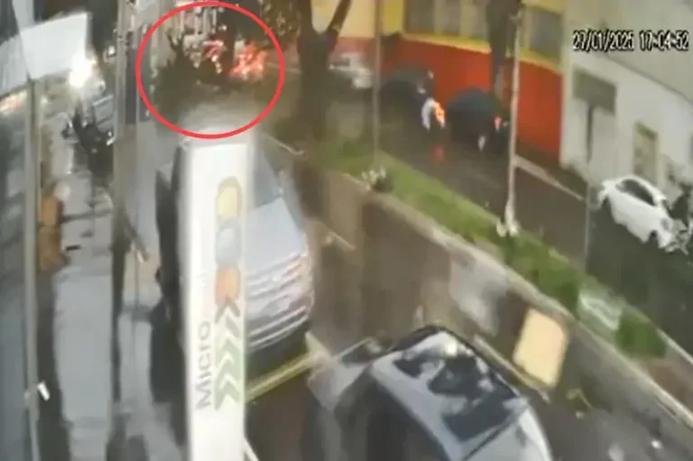 árvore Cai Sobre Carro Vídeo Câmera Monitoramento