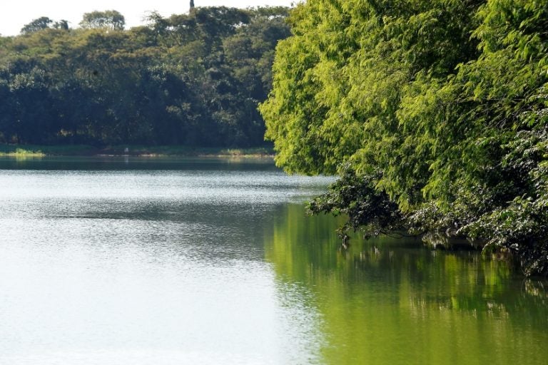 Entre Rios 013
