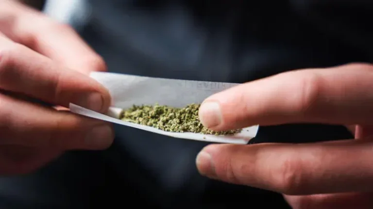 Maconha