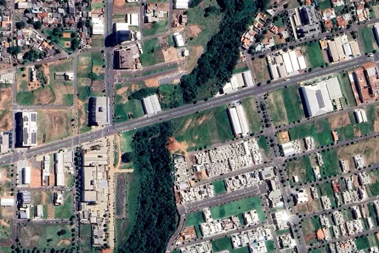 Área de mata onde a onça pode estar em Umuarama.