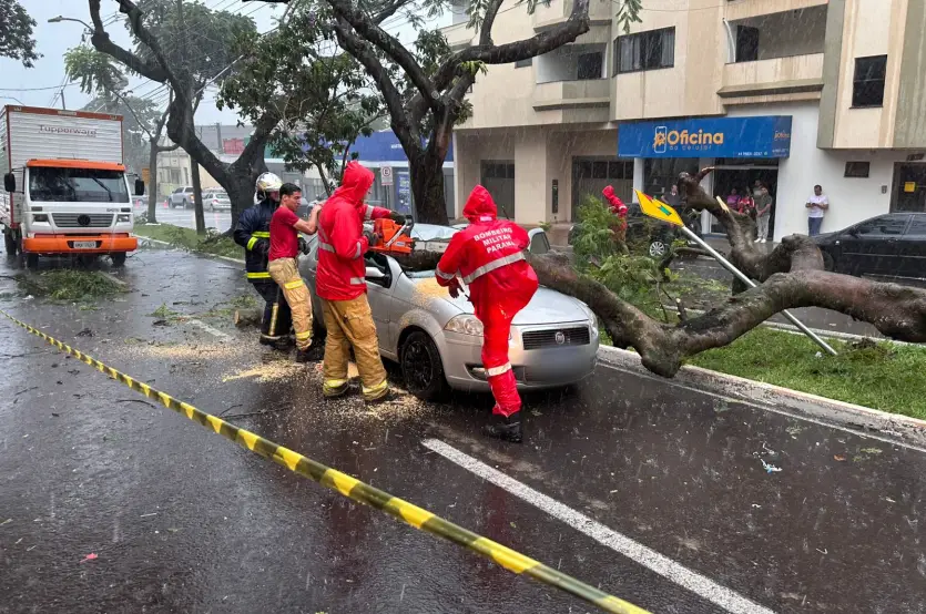 Temporal Em Umuarama árvore Cai Em Veículo (1)