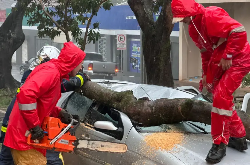 Temporal Em Umuarama árvore Cai Em Veículo (2)