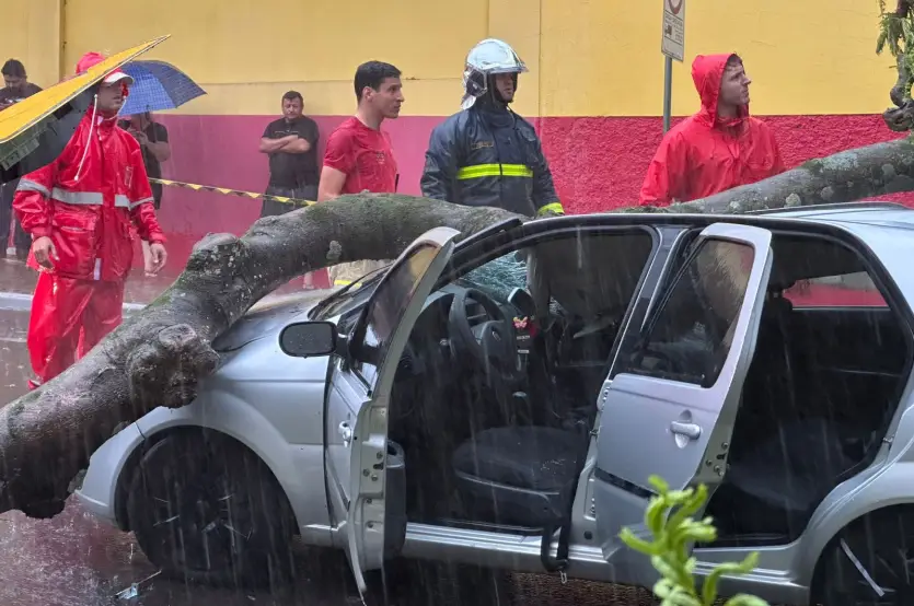 Temporal Em Umuarama árvore Cai Em Veículo (3)