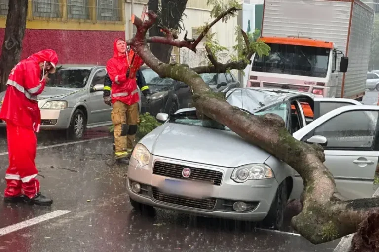 Temporal Em Umuarama árvore Cai Em Veículo (4)