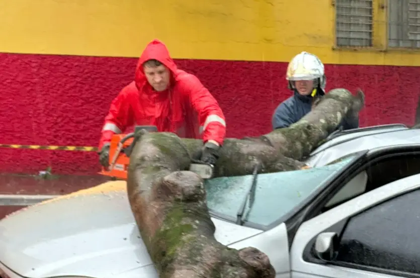 Temporal Em Umuarama árvore Cai Em Veículo (6)