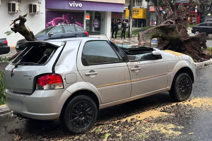 Temporal Umuarama Queda árvore Carro (2)