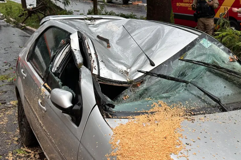 Temporal Umuarama Queda árvore Carro (3)