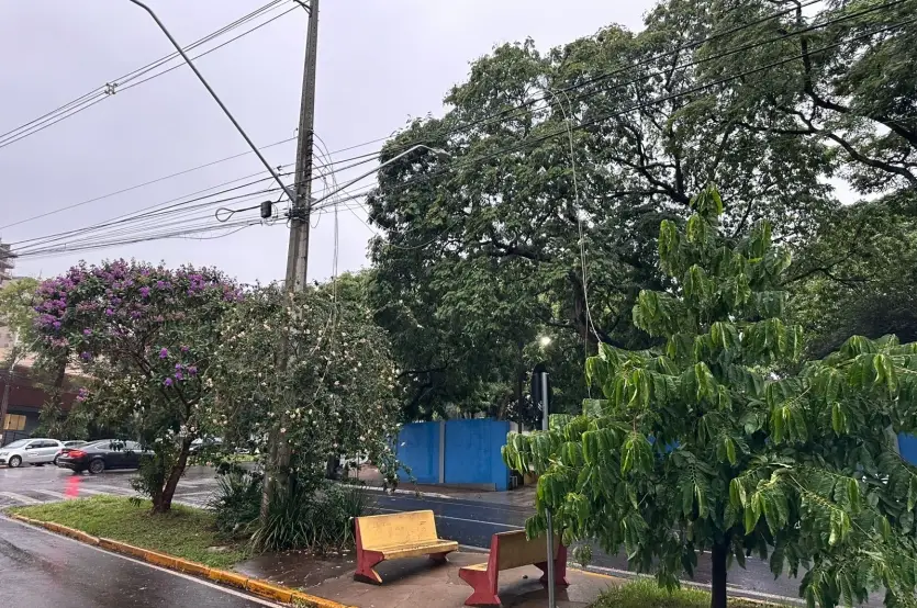 Temporal Umuarama Queda árvore Carro (6)