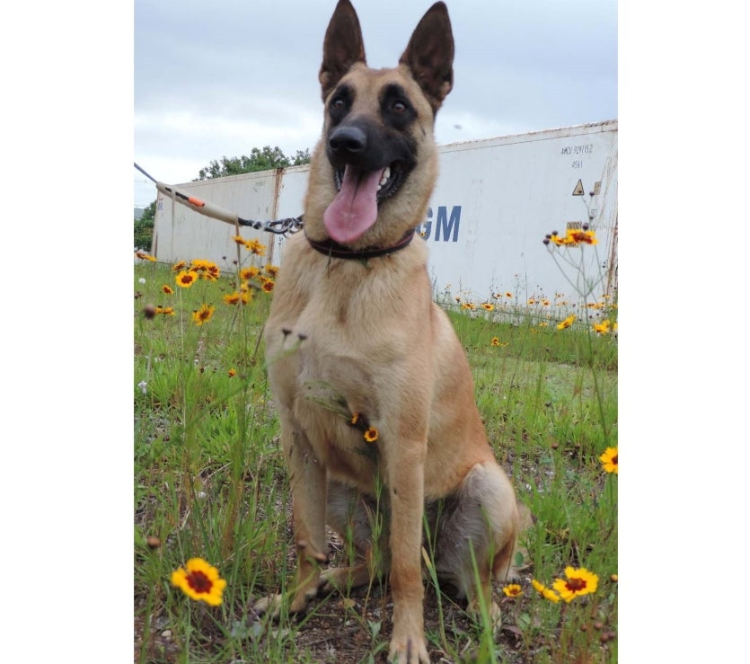 Whatsapp Image 2024 12 11 At 15.47.37