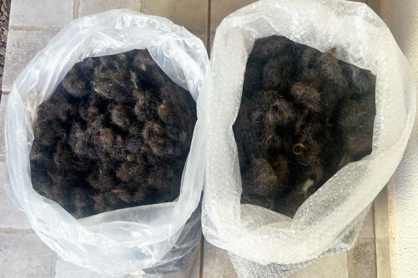 Whatsapp Image 2025 01 14 At 20.04.42