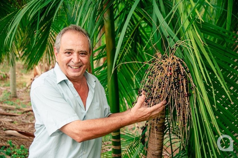 1 Bancário Aposentado Investe No Cultivo Do Açaí Em Umuarama