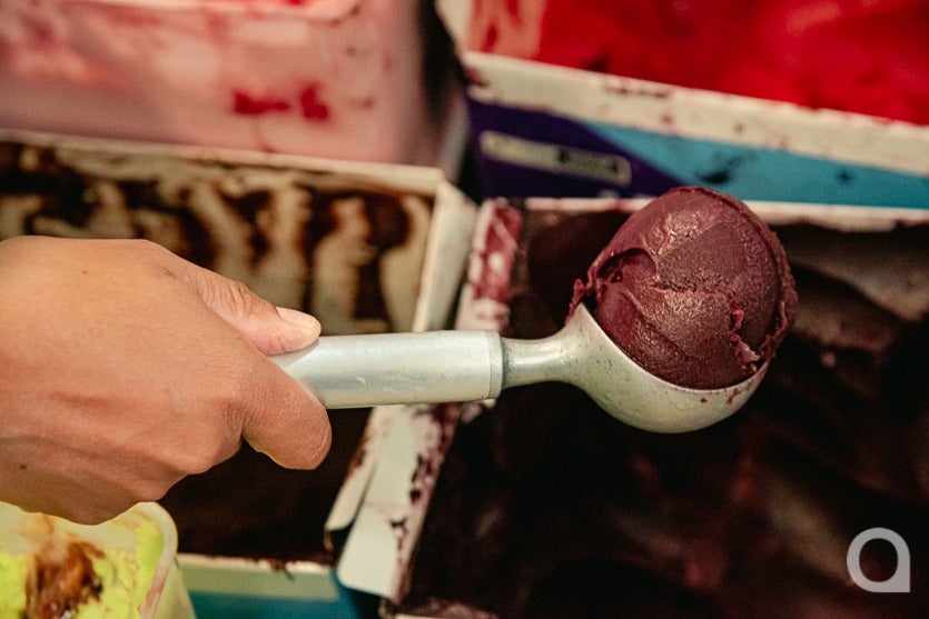 (4) Bancário Aposentado Investe No Cultivo Do Açaí Em Umuarama