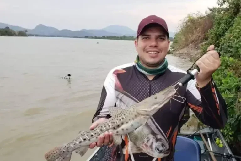 Buscas Pelo Advogado Que Sumiu No Rio Paraná Terão Reforço
