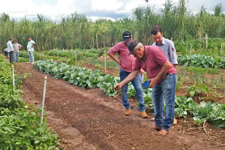 Colégio Agrícola De Umuarama é 1º A Obter Certificação Orgânica (1)