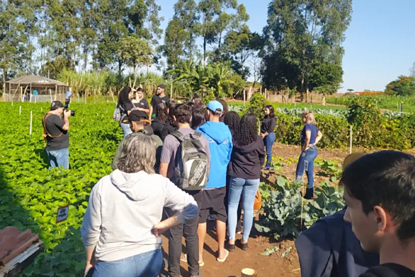 Colégio Agrícola De Umuarama é 1º A Obter Certificação Orgânica (2)