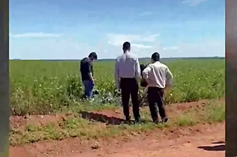 Corpo De Paraguaio Desaparecido é Encontrado Em Lavoura De Soja