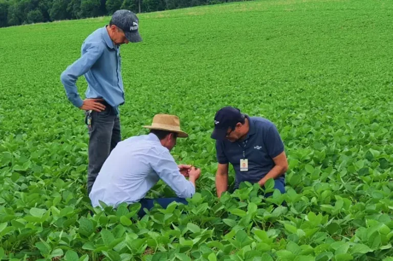 IDr Paraná Terá Concurso Com 422 Vagas