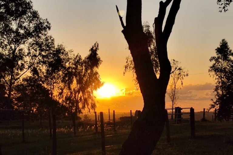 Temperatura global em janeiro foi a maior já observada. Na foto, uma imagem do sol se pondo no horizonte.