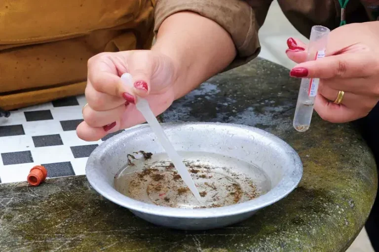 Número De Casos De Dengue Na 12ª Rs De Umuarama é De 623