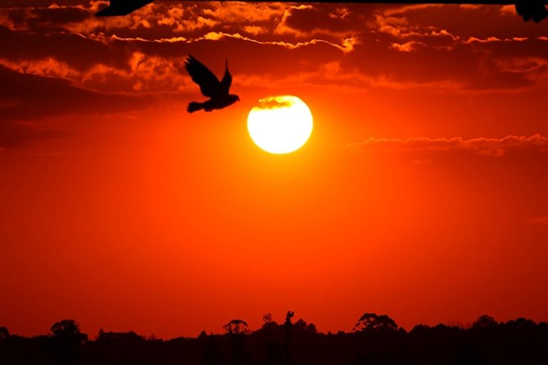 Paraná: o Estado deve registrar máximas de até 37°C.