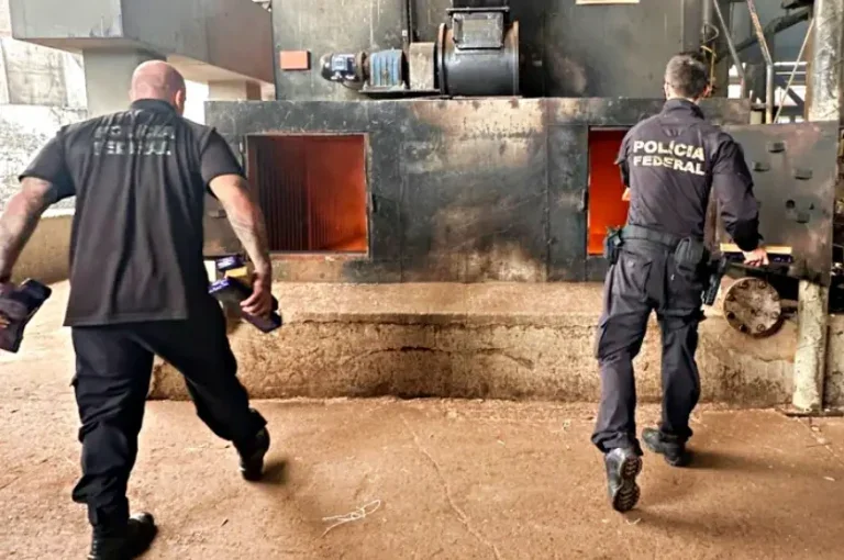 Polícia Federal De Guaíra Incinera 9 Toneladas De Drogas (1)