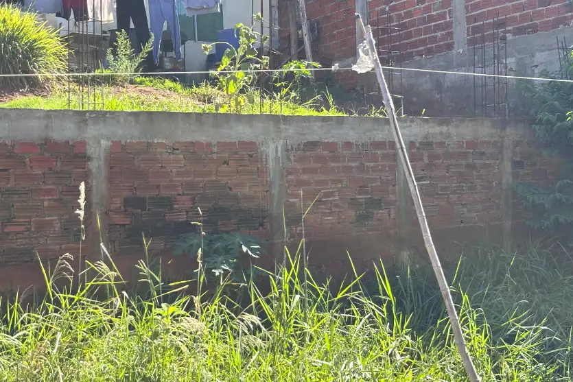 Sonho Meu Muro De Arrimo