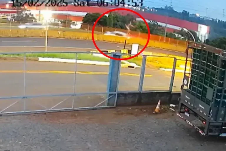 Três Pessoas Em Moto Na Contramão Morrem Após Colisão
