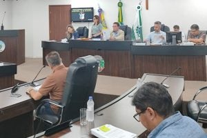 Vereadores de Umuarama: